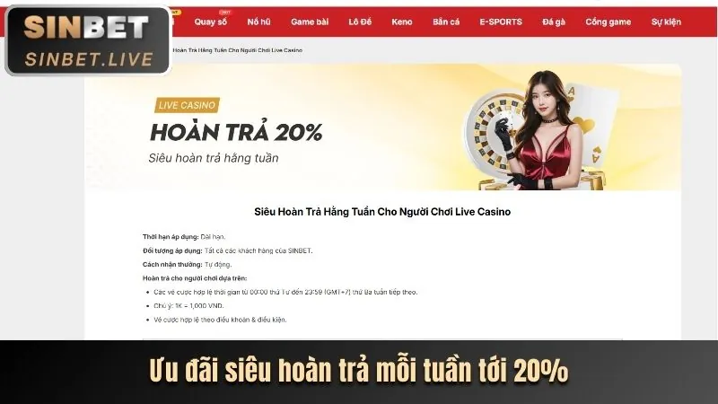 Ứng dụng di động K9CC Casino